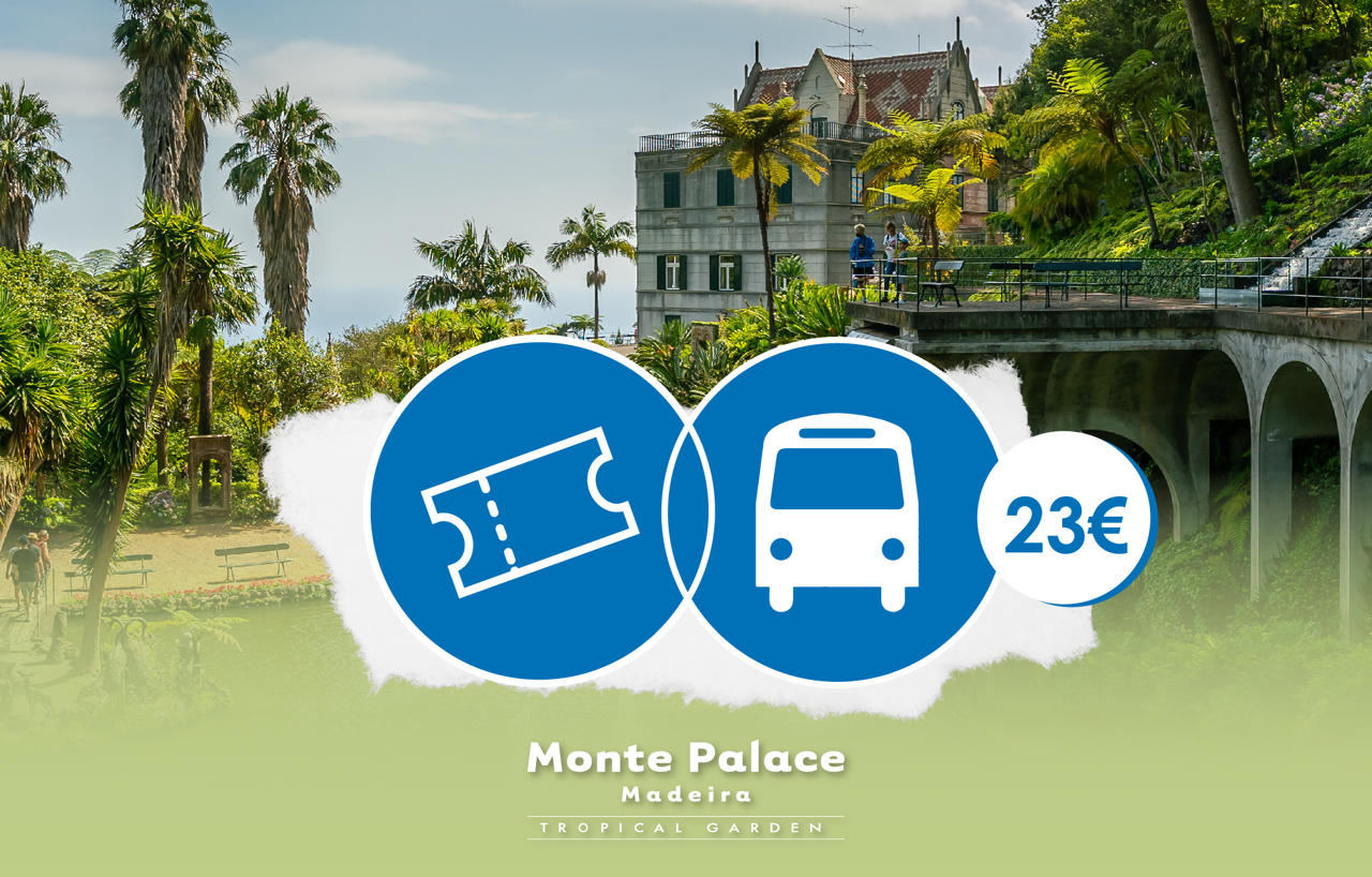 ticket round-trip 2026